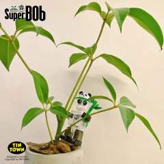 熊猫饲养员超级波布