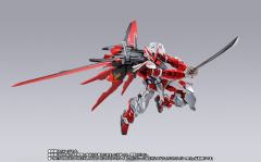 METAL BUILD 翔翼型强袭背包 -METAL BUILD 10周年纪念版--资料图