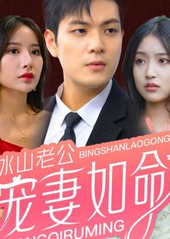 冰山老公宠妻如命