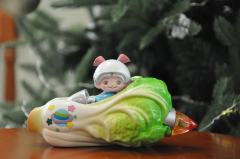 白菜飞船-资料图