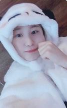 MS 8.0 Panda ver.E