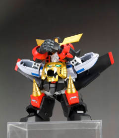 D-Style GAOGAIGAR-资料图