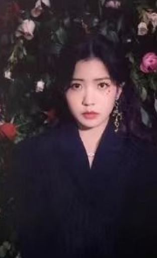 普板随机专卡 ver.C