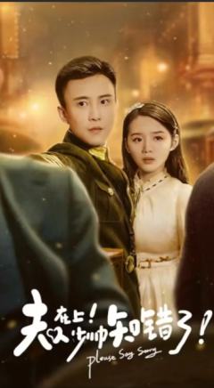 夫人在上少帅知错了