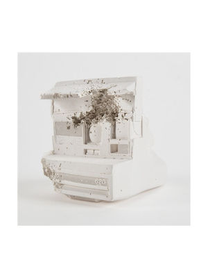 Polaroid , 2008