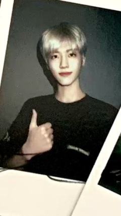fansland ver.C 娜