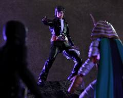 SHF 本乡猛-资料图