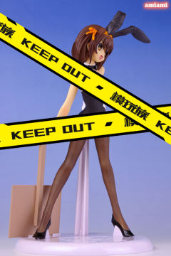 Metamo Figure 凉宫春日 Bunny ver.-资料图