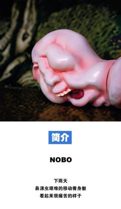 nobo-资料图