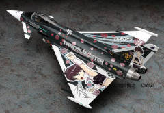菊地真Eurofighter Typhoon-资料图