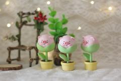 猪猪郁金香-资料图