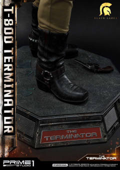 T-800 DX version-资料图