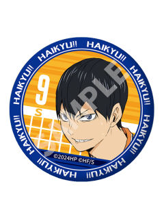 影山飞雄-DeNA垃圾场决战浮雕风徽章