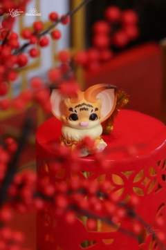 坐坐小虎虎-资料图