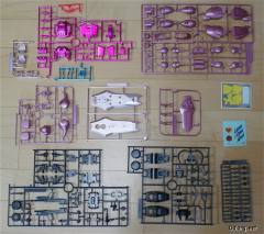 1/100 高达SEED DESTINY模型 ZGMF-1000 米娅演唱会专用扎古勇士 特殊质感 Ver.-资料图