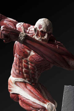 Ultimate Modeling Collection Figure 超大型巨人 -资料图