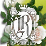 RSERIES洋装