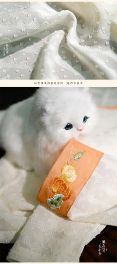 躲猫猫-资料图