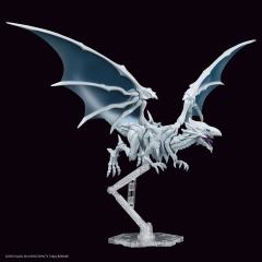 FRS Amplified 青眼白龙-资料图