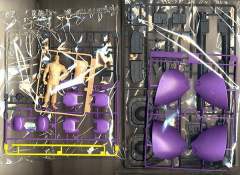 MG MS-09 大魔-资料图