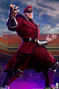 Mixed Media 维加 M. Bison-资料图