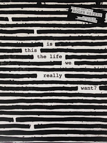 Is This The Life We Really Want?
