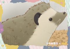 PVC透卡