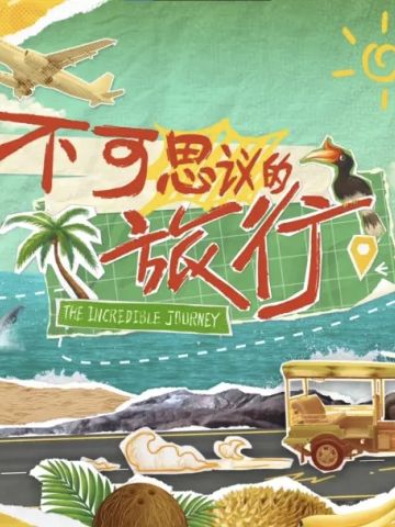 不可思议的旅行