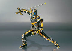 SHF 假面骑士Kaixa-资料图
