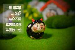 黑羊羊-资料图