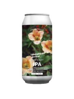 云水 内心深处 新英格兰IPA（罐）