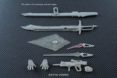 RG ZGMF-X42S 命运高达-资料图