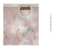 花蝶令-资料图