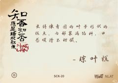 宋朝人的一天8-资料图