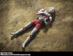 SHF 佐菲-资料图
