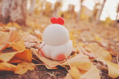 比心鸡仔-资料图