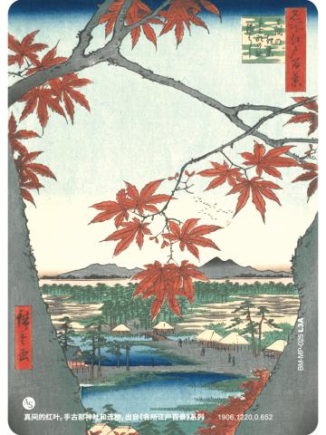 真间的红叶