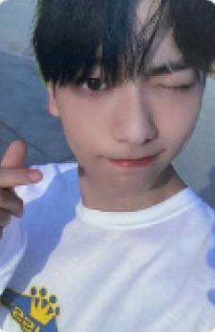 Weverse Shop Global ver