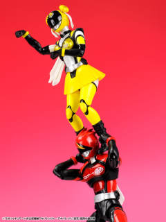 SHF 秋叶红-资料图