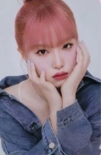 lilybyred日本满赠 ver.D