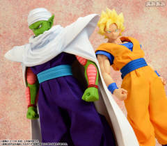 Dimension of Dragonball 短笛 -资料图