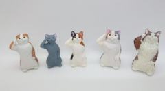 敬礼猫咪扭蛋系列-资料图