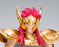 圣斗士圣衣神话 EX 水瓶座 卡妙 OCE - Original Color Edition-资料图