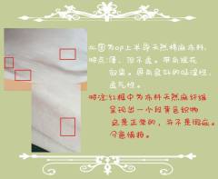 山茶物语 OP-资料图