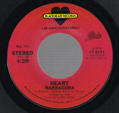 Barracuda / Straight On