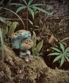 小精灵-资料图