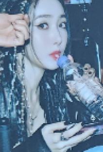 plve专卡 飞 ver.A