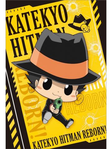 里包恩-堂吉诃德明信片