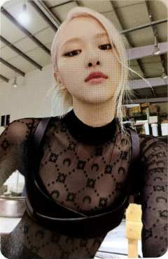 专卡灰版肉 verB.