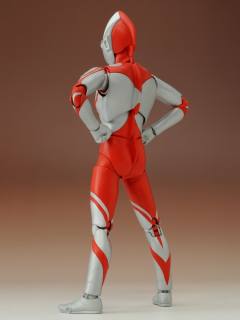 SHF 佐菲-资料图